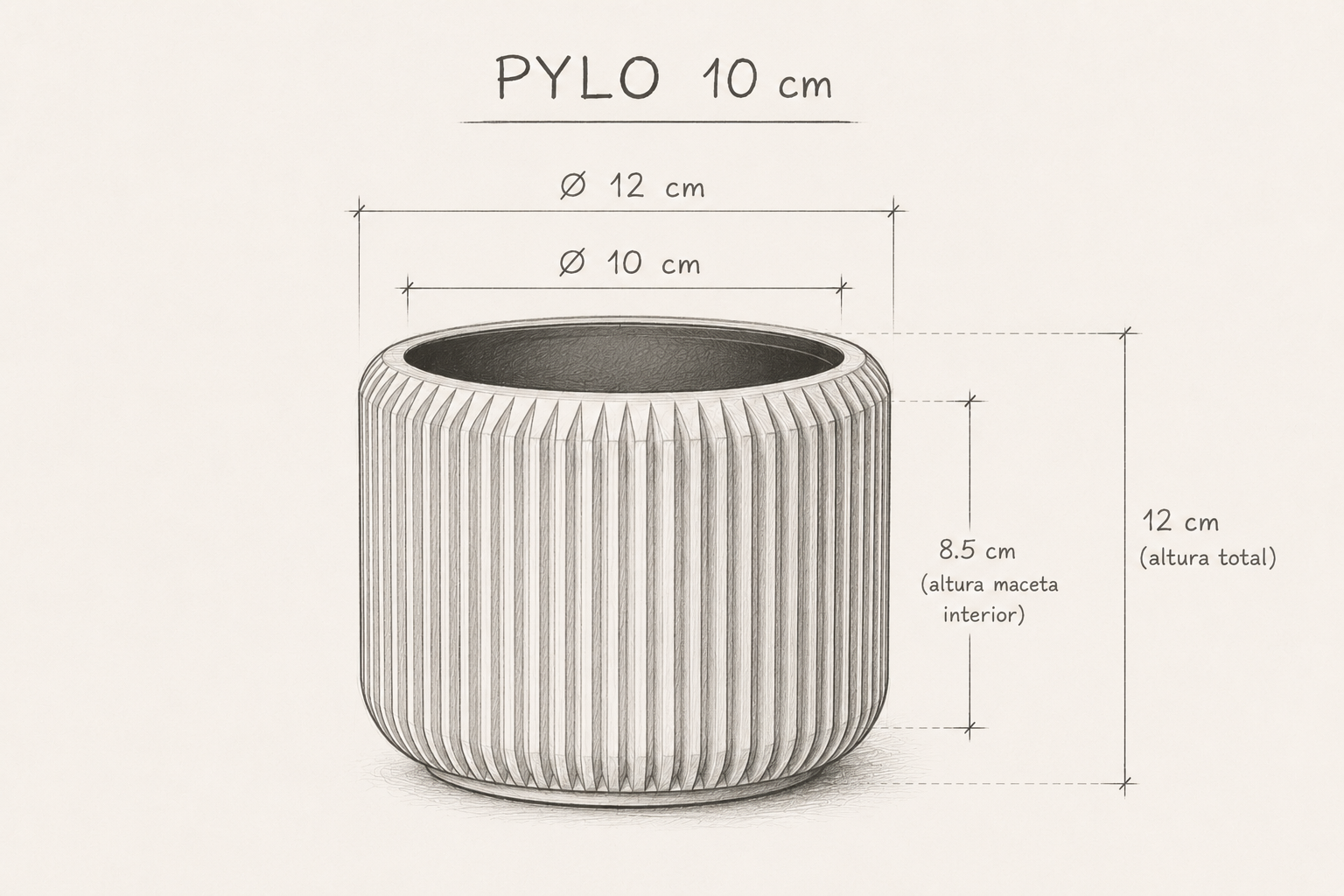 Pylo dimensiones