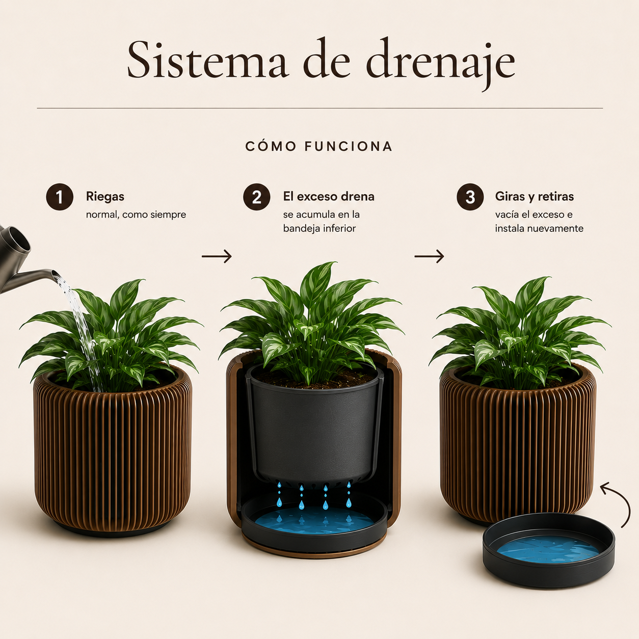 Pylo sistema drenaje