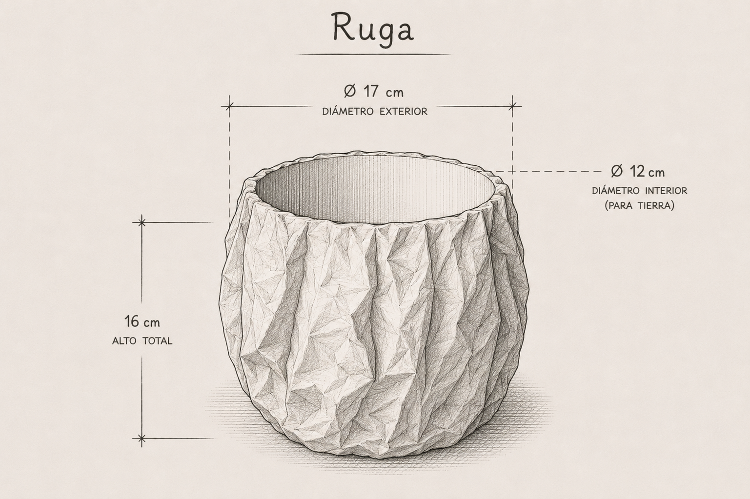 Ruga dimensiones