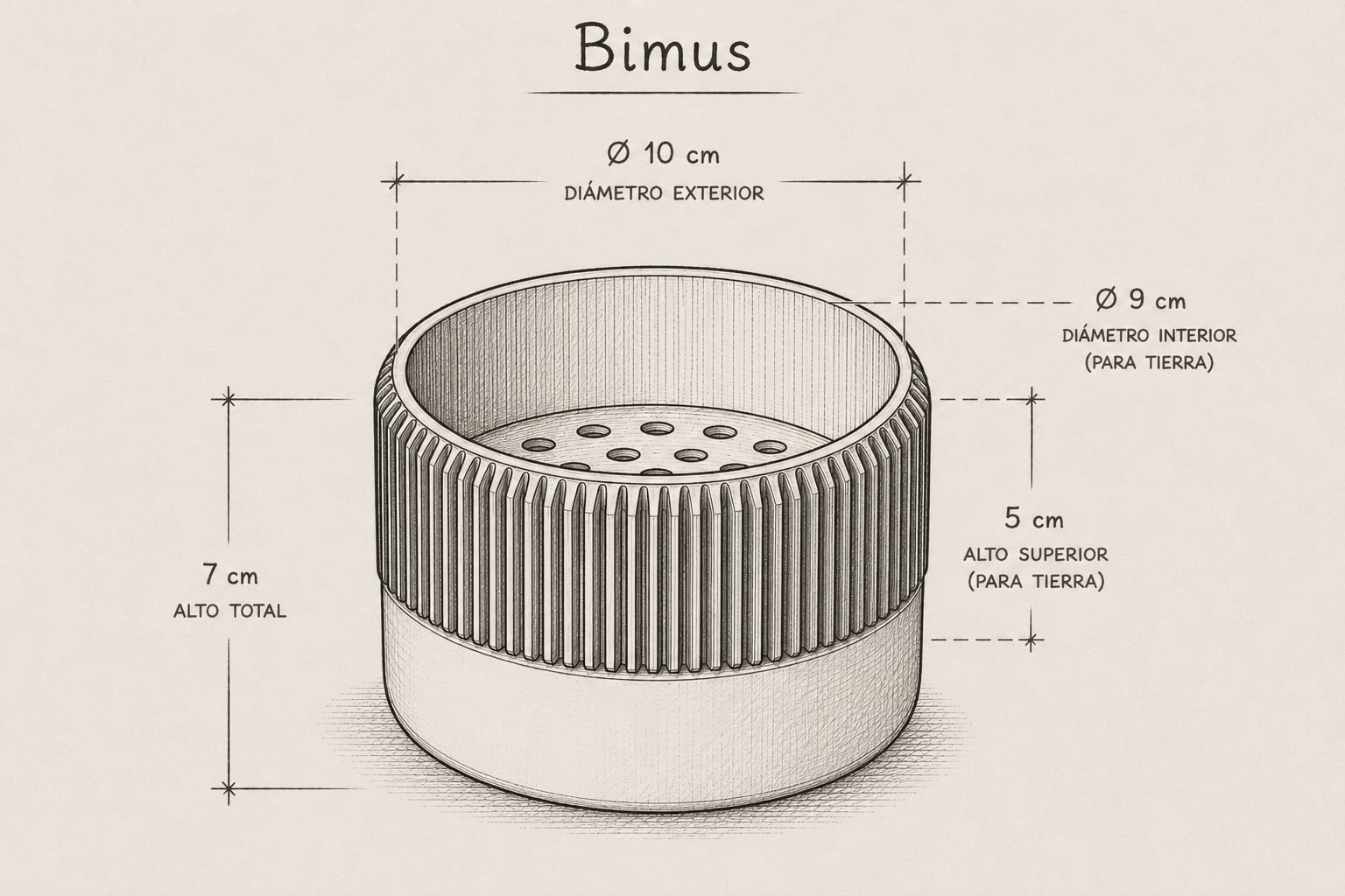 Bimus dimensiones
