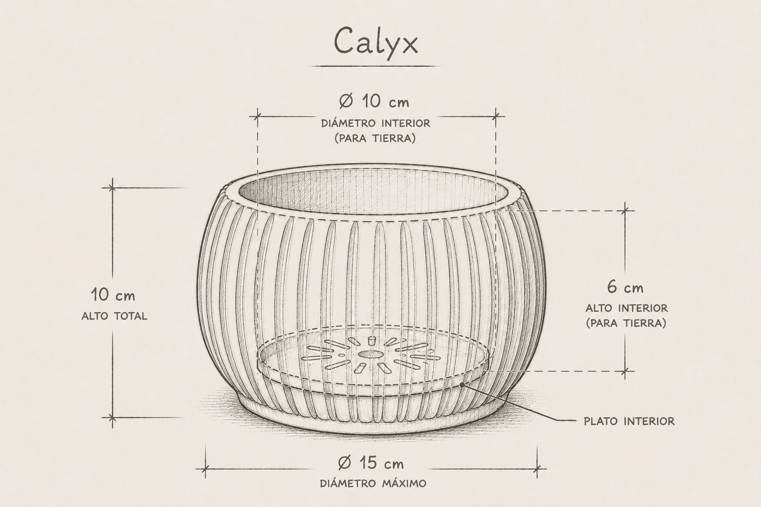 Calyx dimensiones